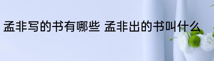 孟非写的书有哪些 孟非出的书叫什么