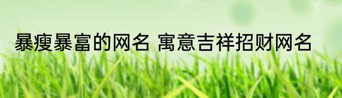 暴瘦暴富的网名 寓意吉祥招财网名