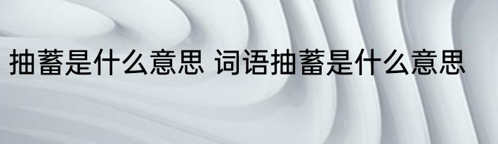 抽蓄是什么意思 词语抽蓄是什么意思