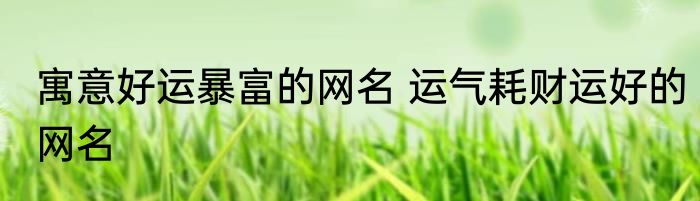 寓意好运暴富的网名 运气耗财运好的网名