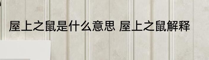 屋上之鼠是什么意思 屋上之鼠解释