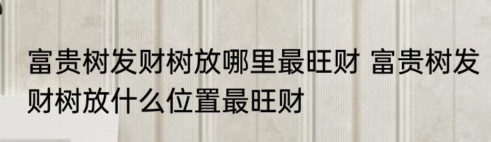 富贵树发财树放哪里最旺财 富贵树发财树放什么位置最旺财
