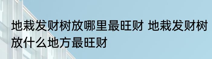 地栽发财树放哪里最旺财 地栽发财树放什么地方最旺财