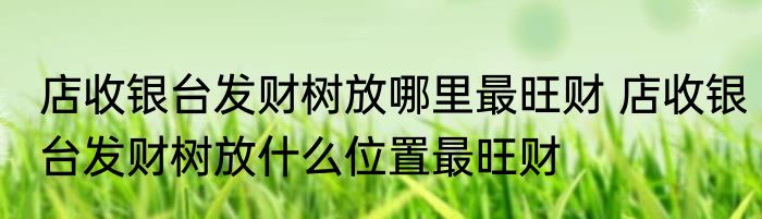 店收银台发财树放哪里最旺财 店收银台发财树放什么位置最旺财