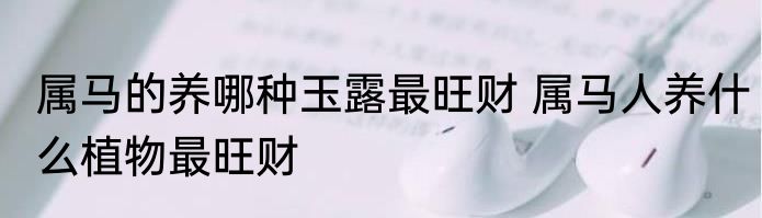 属马的养哪种玉露最旺财 属马人养什么植物最旺财