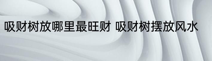 吸财树放哪里最旺财 吸财树摆放风水