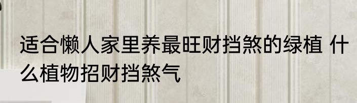 适合懒人家里养最旺财挡煞的绿植 什么植物招财挡煞气