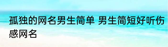 孤独的网名男生简单 男生简短好听伤感网名