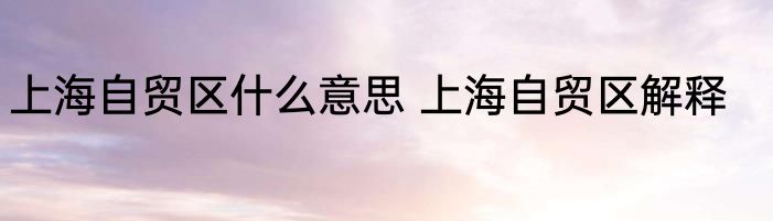 上海自贸区什么意思 上海自贸区解释