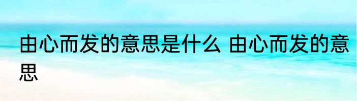 由心而发的意思是什么 由心而发的意思