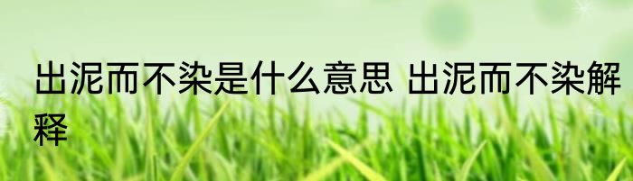 出泥而不染是什么意思 出泥而不染解释
