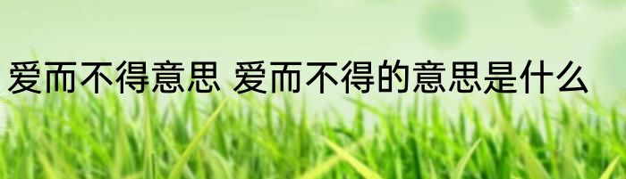 爱而不得意思 爱而不得的意思是什么