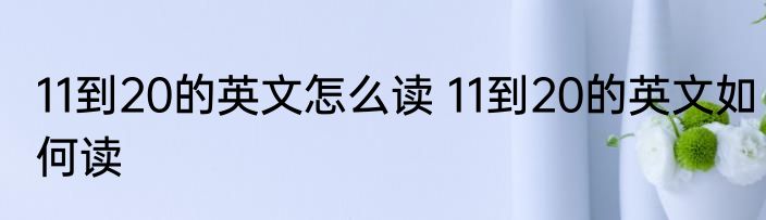 11到20的英文怎么读 11到20的英文如何读