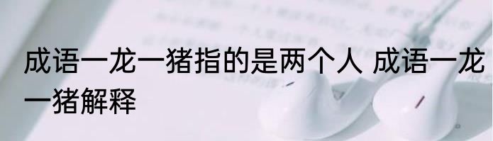 成语一龙一猪指的是两个人 成语一龙一猪解释