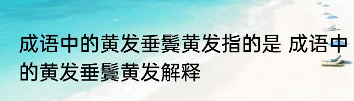 成语中的黄发垂鬓黄发指的是 成语中的黄发垂鬓黄发解释
