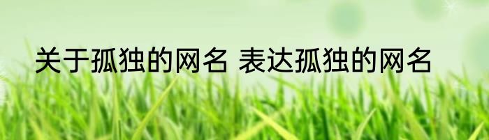 关于孤独的网名 表达孤独的网名