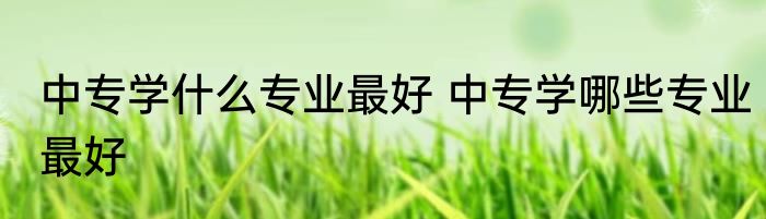 中专学什么专业最好 中专学哪些专业最好