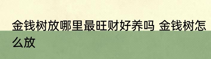 金钱树放哪里最旺财好养吗 金钱树怎么放
