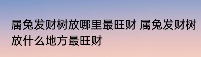 属兔发财树放哪里最旺财 属兔发财树放什么地方最旺财