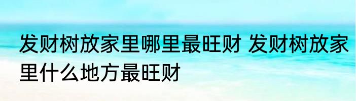 发财树放家里哪里最旺财 发财树放家里什么地方最旺财