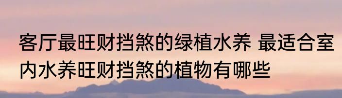 客厅最旺财挡煞的绿植水养 最适合室内水养旺财挡煞的植物有哪些