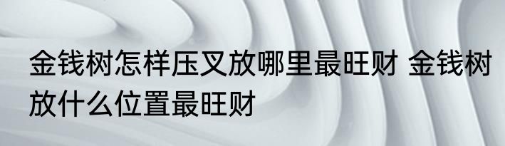 金钱树怎样压叉放哪里最旺财 金钱树放什么位置最旺财