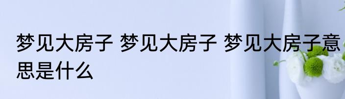 梦见大房子 梦见大房子 梦见大房子意思是什么