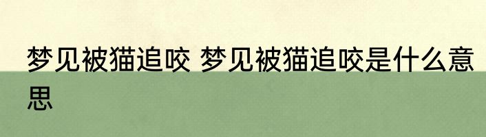 梦见被猫追咬 梦见被猫追咬是什么意思