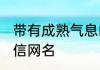 带有成熟气息的网名微信 高级感的微信网名