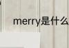 merry是什么意思 merry的意思