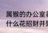 属猴的办公室养什么花最旺财 属猴养什么花招财并聚财