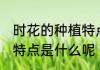 时花的种植特点是什么意思 午时花的特点是什么呢