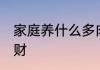 家庭养什么多肉最旺财 哪种多肉最旺财