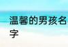 温馨的男孩名字大全集 清爽的男孩名字