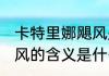卡特里娜飓风是什么意思 卡特里娜飓风的含义是什么