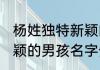 杨姓独特新颖的男孩名字 杨姓独特新颖的男孩名字介绍