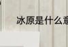 冰原是什么意思 冰原有何含义