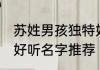 苏姓男孩独特好听名字 苏姓男孩独特好听名字推荐