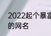 2022起个暴富的网名 喜气洋洋暴富的网名