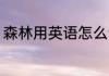 森林用英语怎么读 森林用英语如何读