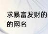 求暴富发财的网名 财运旺家暴富发财的网名