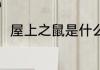 屋上之鼠是什么意思 屋上之鼠解释