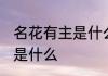 名花有主是什么意思 名花有主的意思是什么