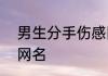 男生分手伤感网名?孤独 伤感孤独的网名