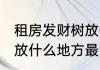 租房发财树放哪里最旺财 租房发财树放什么地方最旺财