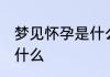 梦见怀孕是什么意思 梦见怀孕意思是什么