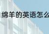 绵羊的英语怎么读 绵羊的英语是什么