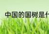 中国的国树是什么 中国的国树是啥