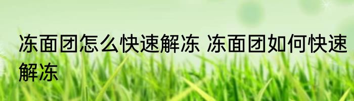 冻面团怎么快速解冻 冻面团如何快速解冻