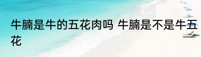 牛腩是牛的五花肉吗 牛腩是不是牛五花